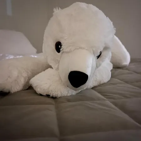 Bohemian Luxury With Private Sauna, Own Carparking, 3 Km From Airport *