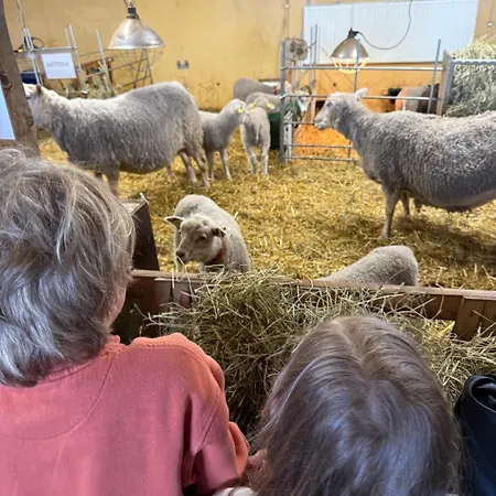 Bohemian Luxury With Private Sauna, Own Carparking, 3 Km From Airport Daire Vantaa