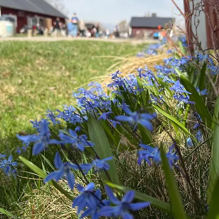 Bohemian Luxury With Private Sauna, Own Carparking, 3 Km From Airport Appartamento