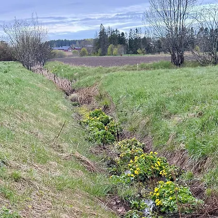 דירה Bohemian Luxury With Private Sauna, Own Carparking, 3 Km From Airport וואנטאה