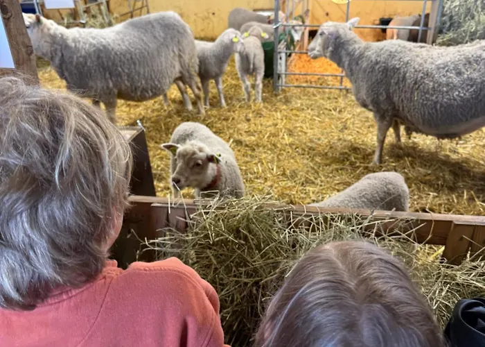 Bohemian Luxury With Private Sauna, Own Carparking, 3 Km From Airport Appartamento Vantaa